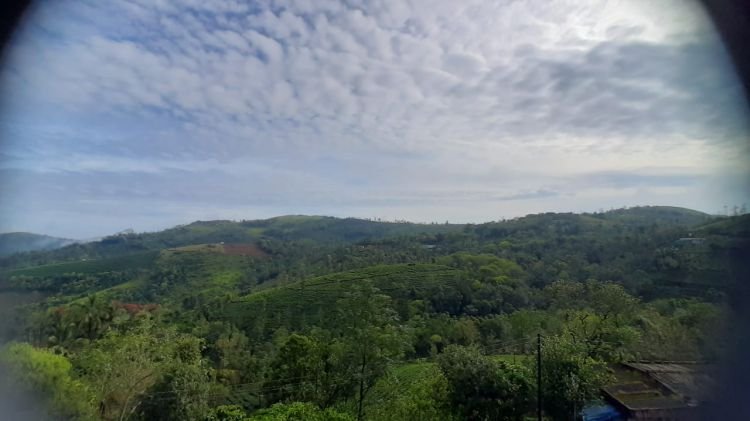 Misty Vagamon Resort