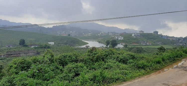 Misty Vagamon Resort